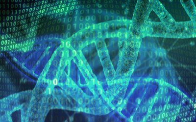 A kvantum mező, a DNS és a HANGok kapcsolata