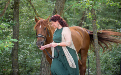 Tűz Ló év, ÚjHold, és a saját vágtánk…